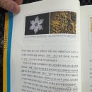 해피니언 강남본점