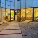 플라잉카우 이미지