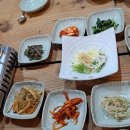 고양아씨