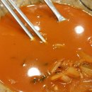 국수나무 이미지