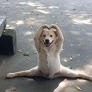 토담어린이집 | くそ…