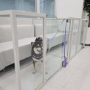 24시 마이동물의료센터 이미지