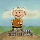 만찬불고기쌈정식