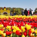 코리아파크 이미지