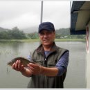 음성경보 이미지