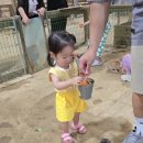 잉어물놀이 | 시흥 온동물농장 후기 | 동물먹이주기, 모래놀이, 물놀이까지 알차다!