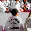 푸른나래 태권도 교육관 이미지