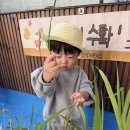 10월 그린지기 [가을 농장 대소동1: 벼 수확] 이미지