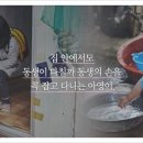 소원하우스 이미지