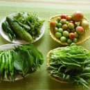 늘푸른채소 - 동구 아양로37길 31 | 늘푸른채소