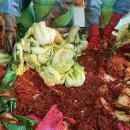 다니엘학교 | 김장 봉사활동 후기, 준비물부터 옷차림 꿀팁