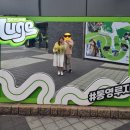 [통영여행] 통영 가볼만한곳 | 스카이라인 루지, 케이블카