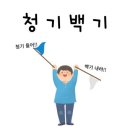 청기백기