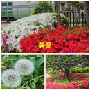 연화마을 이미지