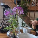 화성시 &lt;커피하다 &amp; 꽃물을만나다&gt; 수제선물세트와 함께하는 유기농 카페 방문 후기 :)