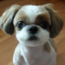 나잡아바라 이미지