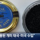 개미문구