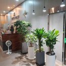 JS스크린 골프연습장 이미지