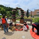 세종특별자치시농업기술센터 이미지