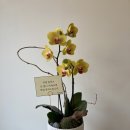 금공농장 이미지