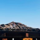 진무로 | Q200 전북식사벙 정말 긴 후기!~ (with 진안 토담펜션)