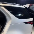 더 샤인 디테일링 이미지