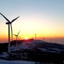 신종목장 이미지