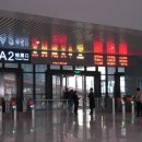 G1029 이미지