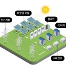 양보31 태양광 발전소 | 석탄은 태우면서 태양광·풍력은 끄는 나라, 한국 전력망의 기막힌 역설