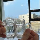 만선수산 | 강릉 주문진 횟집 추천 찐수산회센터 모둠회 포장 후기