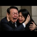 개나리꽃농원 이미지