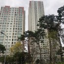 연제구-106 이미지