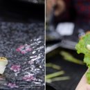 미시령통큰민물장어 이미지