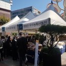 갤러리아백화점 이미지