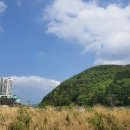 천일주유소화장실 이미지