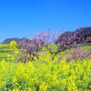 3월 14일 천안,아산방 월례회 이미지