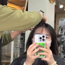 신사동 미용실 추천 | 권홍헤어 신사본점, 헤드스파 60분 후기!