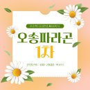 오송신흥공인중개사사무소 이미지