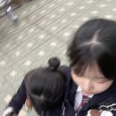 원윤주