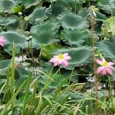 성은공인중개사사무소 이미지