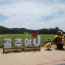 유구읍사무소 | 공주 여행: 금강의 낭만과 수국의 향연, 그리고 명장의 빵까지! 🌸🍞