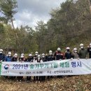 봉화산 유아숲체험원 이미지