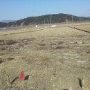 쌍둥농장 이미지