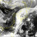 다시 보는 태풍 매미의 위엄 이미지