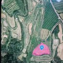 옥천 태양광발전소 이미지