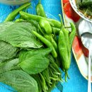 정자나무아래 이미지