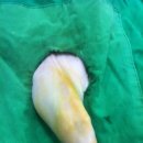 다오동물병원 이미지