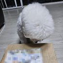 에이비씨덴탈