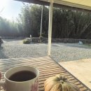 장흥 달바위펜션 | 장흥 마지막 주 일상