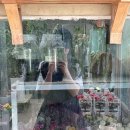 에이스농장 이미지